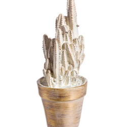 Decoratiune cactus
