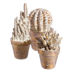 Decoratiune cactus