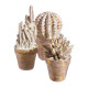 Decoratiune cactus