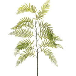 Fern Green Branch