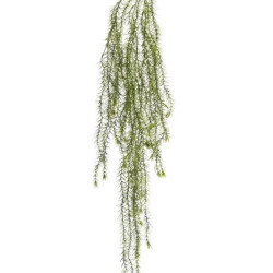 Ramura Columnea Green