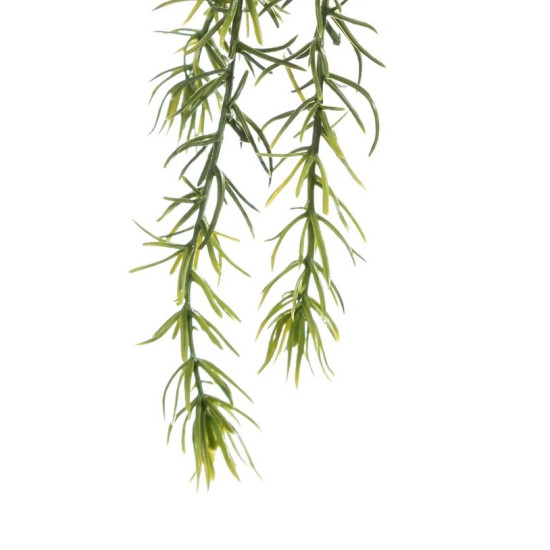 Ramura Columnea Green