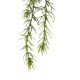 Ramura Columnea Green