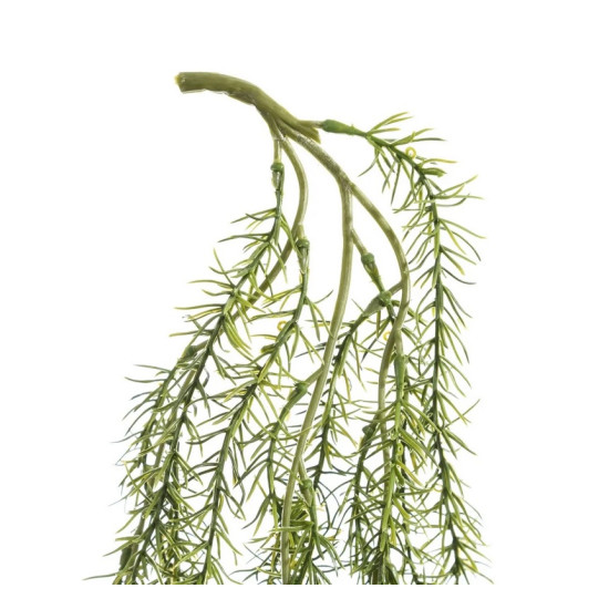 Ramura Columnea Green