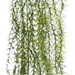 Ramura Columnea Green