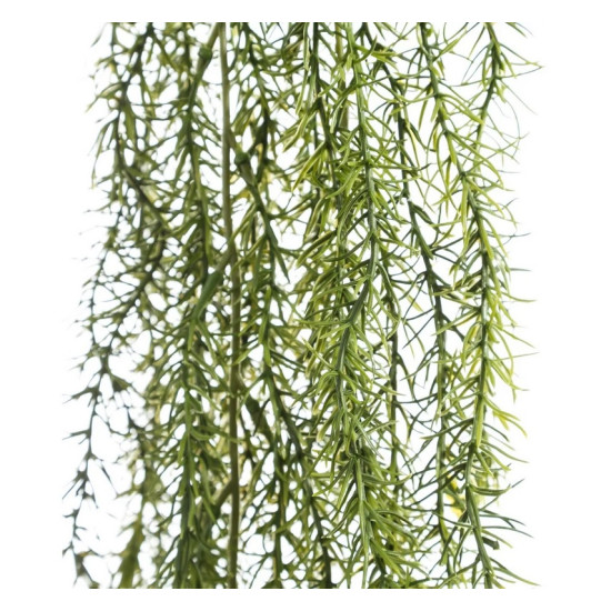 Ramura Columnea Green