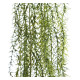 Ramura Columnea Green