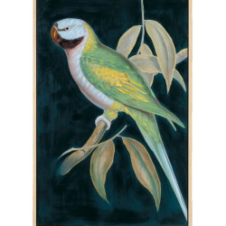 Tablou Parrot