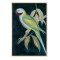 Tablou Parrot