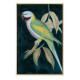 Tablou Parrot