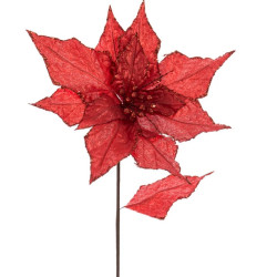Poinsettia Red