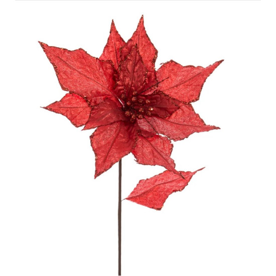 Poinsettia Red