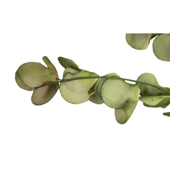 Ramura Green decorativa