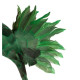 Decoratiune Humming Green