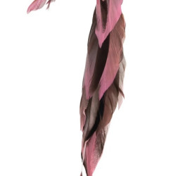 Decoratiune Humming Brown