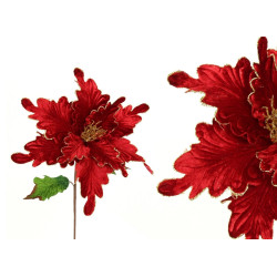 Fir Poinsettia Red
