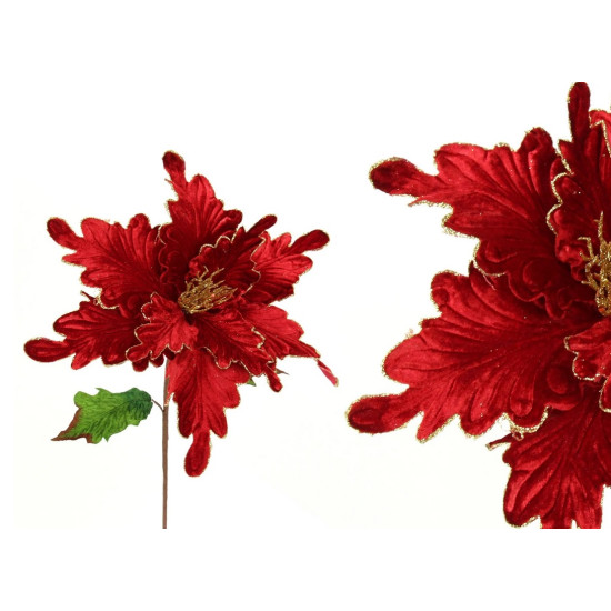 Fir Poinsettia Red
