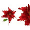 Fir Poinsettia Red