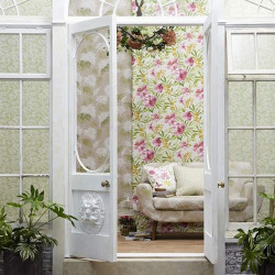 Draperie Paradiso Amazon