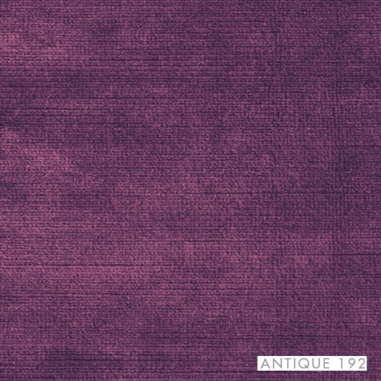 Draperie Antique 140