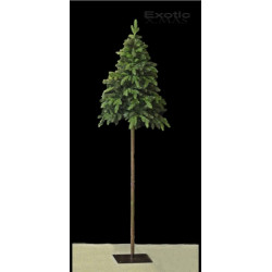 Brad artificial Exotique