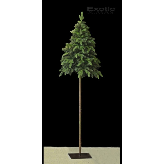 Brad artificial Exotique