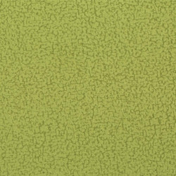 Stofa Focus Magic Home