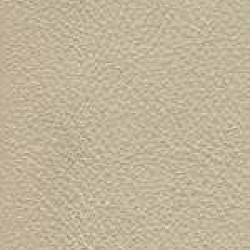 Piele naturala Linea - 604 Beige 