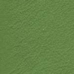 Piele naturala Linea - 621 Verde