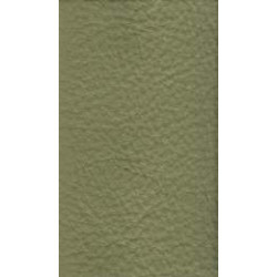 Piele naturala Linea - 631 Green