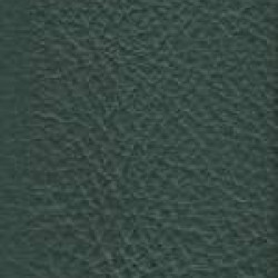 Piele naturala Linea - 653 Pino