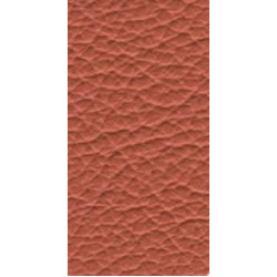 Piele naturala Ocean - 433 Vitamin