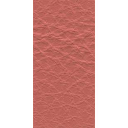 Piele naturala Prescott - 239 Fond-de-tein 