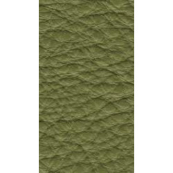 Piele naturala Prescott - 256 Aloe