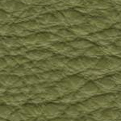 Piele naturala Prescott - 256 Aloe