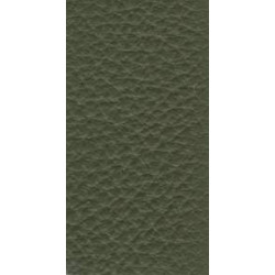 Piele naturala Prescott - 258 Birch