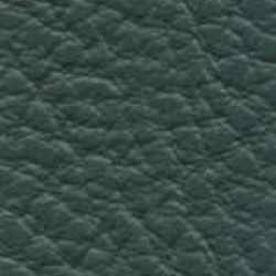 Piele naturala Prescott - 262 Bottle