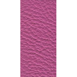 Piele naturala Prescott - 283 Energy