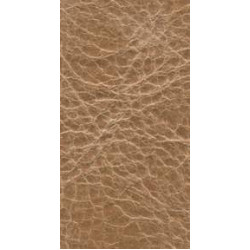Piele naturala Tuscania - 2002 Biscotto