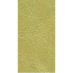 Piele naturala Tuscania - 2010 Celery