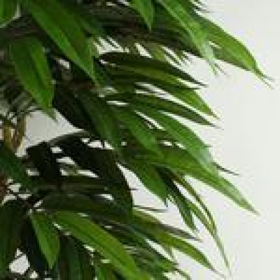 Arbore de mango artificial