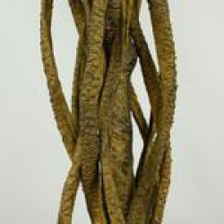 Arbore de mango artificial