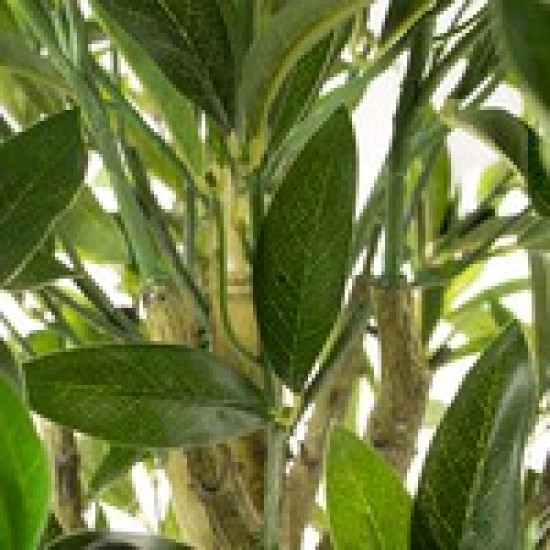 Arbore de maslin artificial