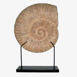 Decoratiune scoica de mare