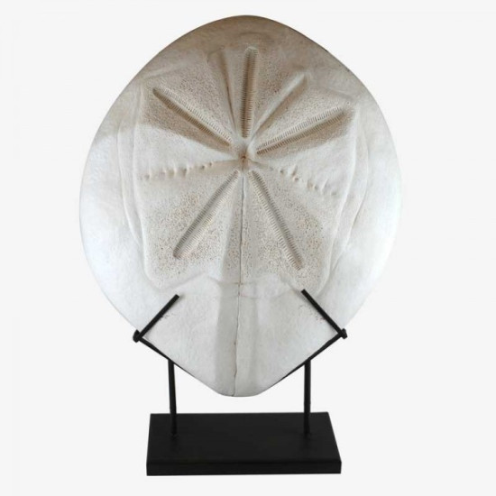 Decoratiune marina alba