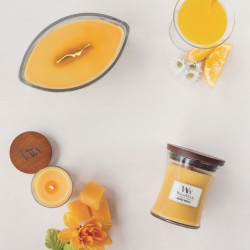 Lumanare Parfumata Ellipse Seaside Mimosa