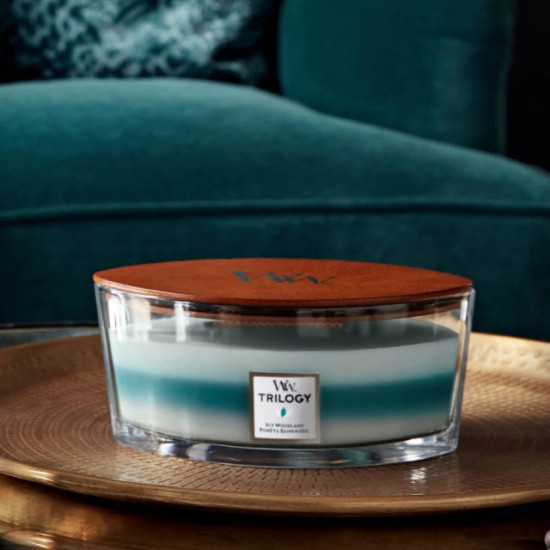 Lumanare Parfumata Ellipse Trilogy Icy Woodland