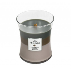 Lumanare Parfumata Borcan Mediu Trilogy Cozy Cabin