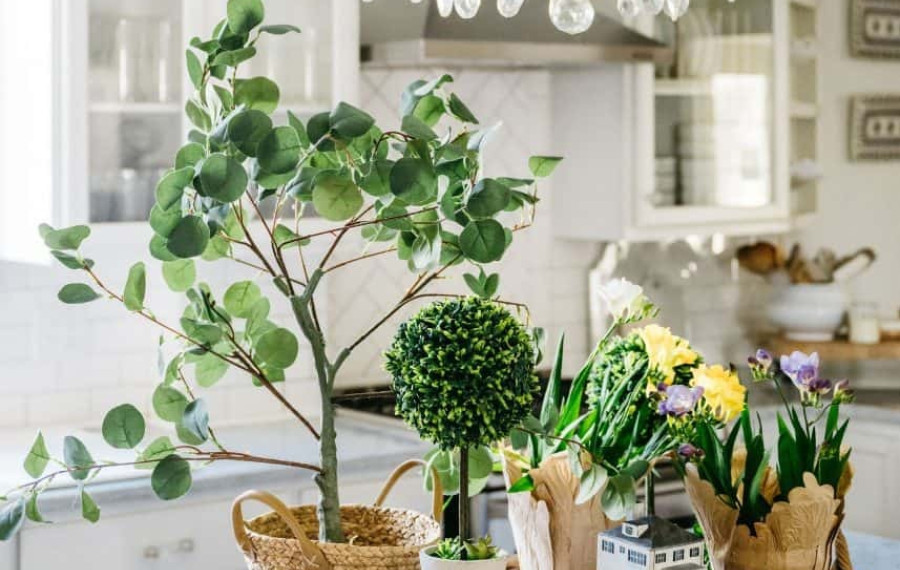 Accesorii / Decoratiuni